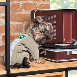 Комбінезон Pet Fashion Ego для собак, розмір S2, бежевий - мініатюра 6