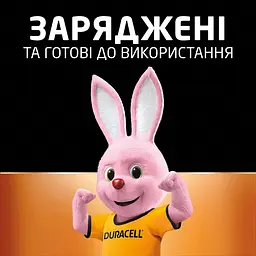 Аккумулятори Duracell Rechargeable AA 1300 mAh, 4 шт. (6832572) - мініатюра 8