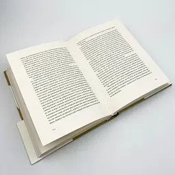 Прощавай, зброє - Ернест Гемінґвей | Видавництво Старого Лева, книга українською, нова, тверда - мініатюра 3