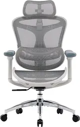 Ігрове крісло Sihoo DORO C300L Mesh White (DORO-C300L-A3-102)
