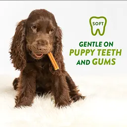 Натуральні ласощі для зубів цуценят WHIMZEES Puppy Dental Care Dog Treat M/L 14 шт. - мініатюра 7