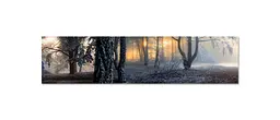 Кухонний фартух Туманний Ліс 3Д вінілова наклейка для кухні ПВХ дерева Природа Сірий Happy Pocket Z181337 - мініатюра 7