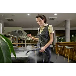 Пароочисник Karcher SG 4/2 Classic професійний (1.092-301.0) - мініатюра 8