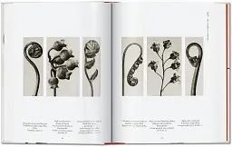 Karl Blossfeldt. The Complete Published Work. 40th Edition - Ганс Крістіан Адам - мініатюра 4