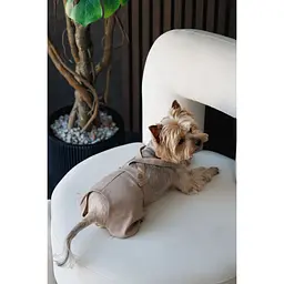 Шорти Pet Fashion Leo для собак XS2 - мініатюра 8