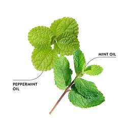 Ополіскувач для ротової порожнини Ecodenta Organic Minty Coconut, 250 мл - мініатюра 3