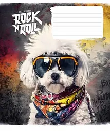 Зошит загальний Школярик Star Rock star у клітинку 24 аркушів 25 шт. (024-3277K) - мініатюра 4