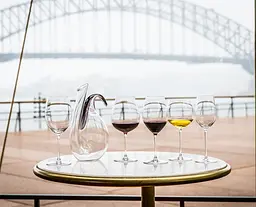 Набір келихів для червоного вина Riedel Cabernet Merlot, 2 шт., 625 мл (6449/0) - мініатюра 4