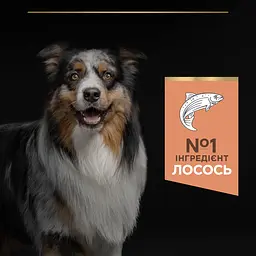 Сухий корм Purina Pro Plan Medium Adult 1+ Sensitive Skin для дорослих собак середніх порід з чутливою шкірою з лососем 14 кг (12375802) - мініатюра 6
