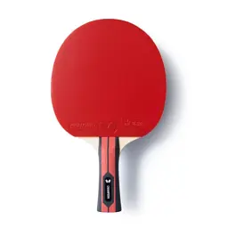Ракетка для настільного тенісу Butterfly Team Champion FL (6256800002) (931840) - мініатюра 1