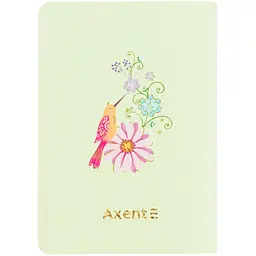 Книга записна Axent Turnowsky Fairy garden 1 A6 60 аркушів клітинка (8711-12-A-TR) - мініатюра 3