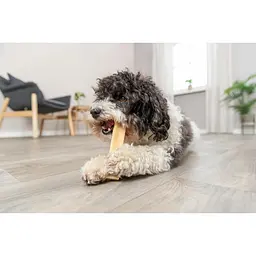 Ласощі Trixie Chewing cheese для собак, M: 13.5 см, 75 г - мініатюра 7