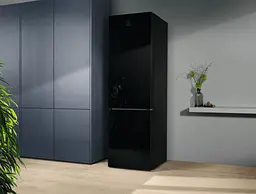 Холодильник Electrolux RNT7ME34K1 - мініатюра 10