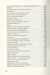 Триста поезій - Ліна Костенко - мініатюра 14