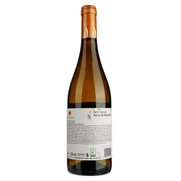 Вино Settesoli Pinot Grigio, біле, сухе, 11%, 0,75 л - мініатюра 2