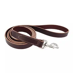 Coastal Circle-T Dog Leash шкіряний повідок для собак 2.5см х 1.8м