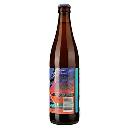Пиво Forever Space Travel Juicy IPA світле нефільтроване 0.5 л - мініатюра 2
