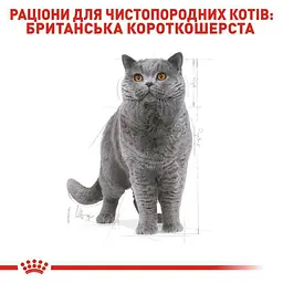 Сухий корм для британських короткошерстих дорослих котів Royal Canin British Shorthair Adult, з м'ясом птиці, 2 кг - мініатюра 4