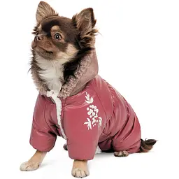 Комбінезон для собак Pet Fashion Cherry S бордовий - мініатюра 2