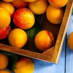 Саджанець Agro-Market Абрикос Спрінг Блаш (39873) 1 шт. в упаковці - мініатюра 2