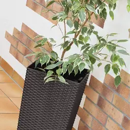 Горщик для рослин Prosperplast Rato Square 21/49 л коричневий (DRTS325-440U) - мініатюра 3