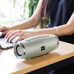 Портативна bluetooth колонка Borofone BR3 TWS grey - мініатюра 3