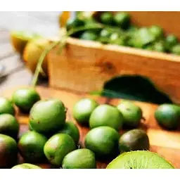 Саджанець Agro-Market Актинідія Асія самозапильна! (Міні-ківі, самоплодовий сорт, пізній термін дозрівання) 1 саджанець (24252) - мініатюра 2