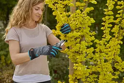 Рукавички для робіт з чагарниками Gardena 9/L Oeko-Tex® (11531-20) - мініатюра 3