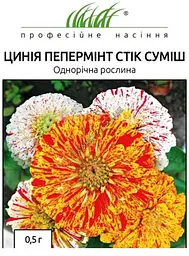 Насіння Цинії Пепермінт Стік суміш 0.5 г (Професійне насіння)