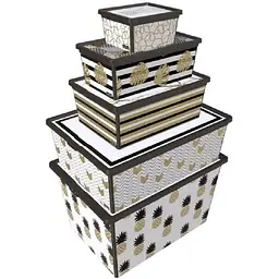 Коробка Qutu Trend Box Pineapple Life 25 л 52.5х37х17.5 см (TREND BOX с/к PINEAPPLE LIFE 25л.) - мініатюра 2