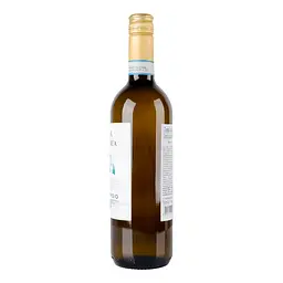 Вино Terra Italianica Pinot Grigio Delle Venezie DOC біле сухе 0.75 л - мініатюра 4