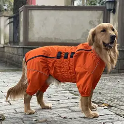 Комбінезон-дощовик для собак Derby Dog Suit Orange D-L