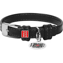 Нашийник для собак Waudog Glamour, шкіряний, з QR паспортом, 21-29х1,2 см, чорний