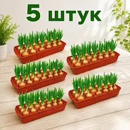 Набір з 5 пластикових лотків для вирощування зеленої цибулі та розсади зі знімною вставкою луковичниця Зелений 88417