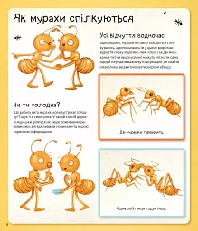 Світ мурах - Штєпанка Секанінова - мініатюра 8