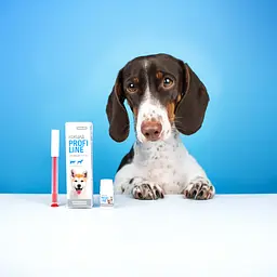 Суспензія ProVET Profiline Кокцид для котів та собак 5 мл - мініатюра 7
