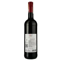 Вино Campo de Chile Cabernet Sauvignon, червоне, сухе, 13%, 0,75 л - мініатюра 2