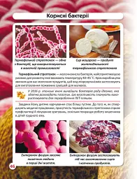 Світ навколо нас. Бактерії - мініатюра 4