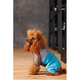 Комбінезон Pet Fashion Сharlie ХS2 для собак - мініатюра 7