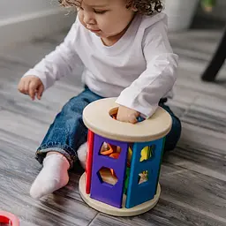 Дерев'яний сортер-каталка Melissa & Doug (MD19041) - мініатюра 7