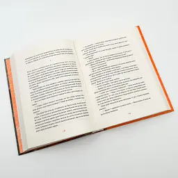 Клара і Сонце - Кадзуо Ішіґуро | Видавництво Старого Лева, книга українською, нова, тверда - мініатюра 3