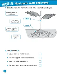 Macmillan Science. Level 3. Workbook - мініатюра 2