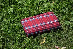 Плед Ardesto Picnic 130х170 см 100% поліестер клітинка червоний pbe0050457 - мініатюра 4