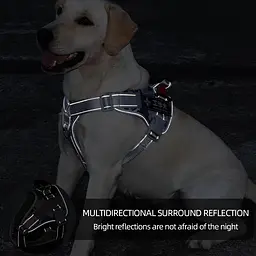 Нагрудна шлея для собак Reflective safety chest harness for pet dogs, L Блакитний - мініатюра 3