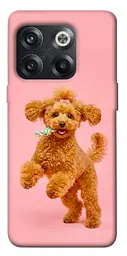 TPU чохол Demsky Happy poodle для OnePlus 10T