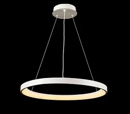 Люстра стельова LED Splendid Ray L2551/580/1, регульована температура світла, білий, сучасний стиль, 40-140 см - мініатюра 3