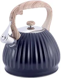 Чайник Whistling Kettle Black із нержавіючої сталі зі свистком Kamille Ø19х24.5 см kuh0006801
