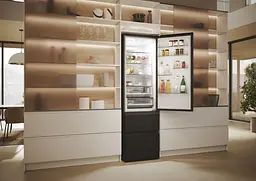 Холодильник Haier (HTW5620DNPT) - мініатюра 6