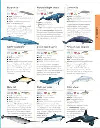 Animals A Children's Encyclopedia - мініатюра 5