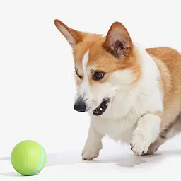 Розумний м'ячик для собак Cheerble Wicked ball C1801 Green [150917] - мініатюра 4